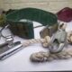 کمربند ایمنی و مهار کار در ارتفاع با طناب و قلاب فلزی